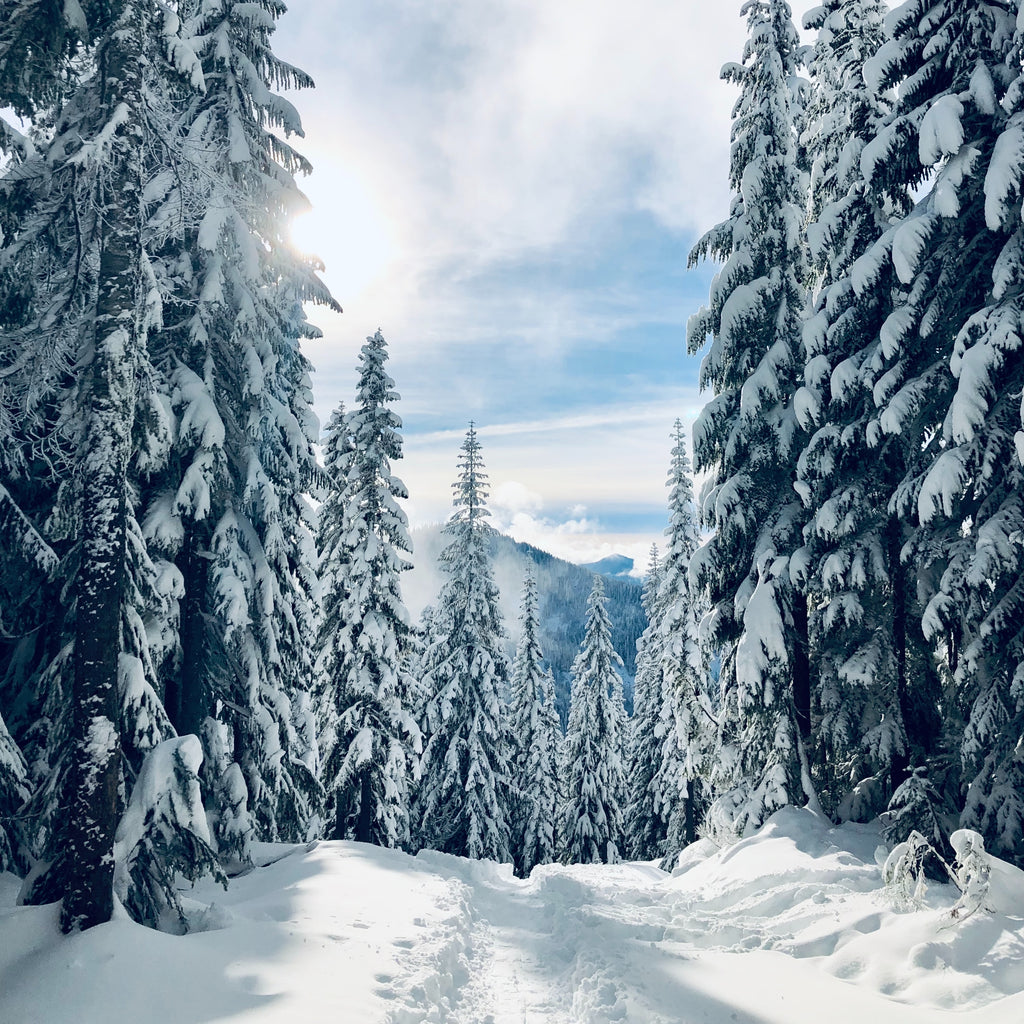 US + Canadian Snow Sale